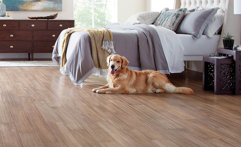 Rochester Flooring Plus - Flooring Services in Rochester NY - Blog - Image 0243